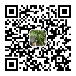 微信公众号二维码